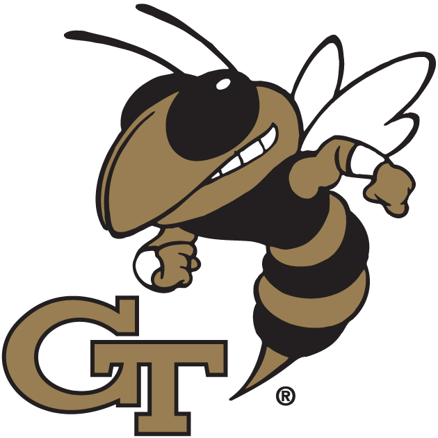 Georgia Tech Yellow Jackets 1991-Pres Alternate Logo v3 diy DTF decal sticker